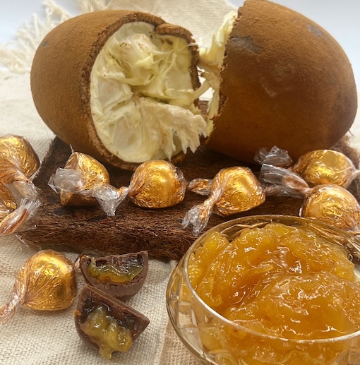 BOMBOM DE CUPUA��